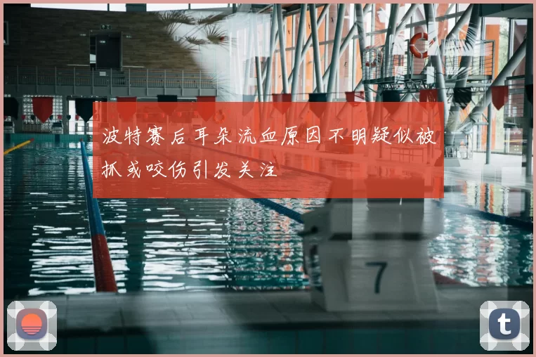 波特赛后耳朵流血原因不明疑似被抓或咬伤引发关注