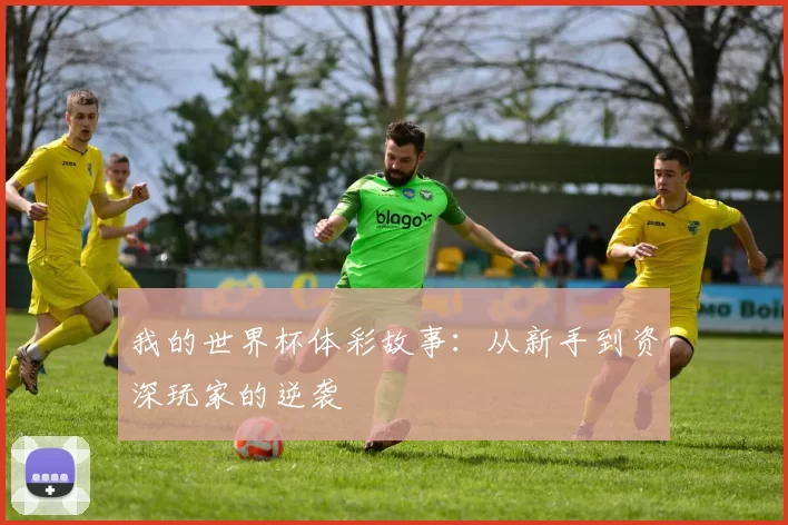 我的世界杯体彩故事：从新手到资深玩家的逆袭