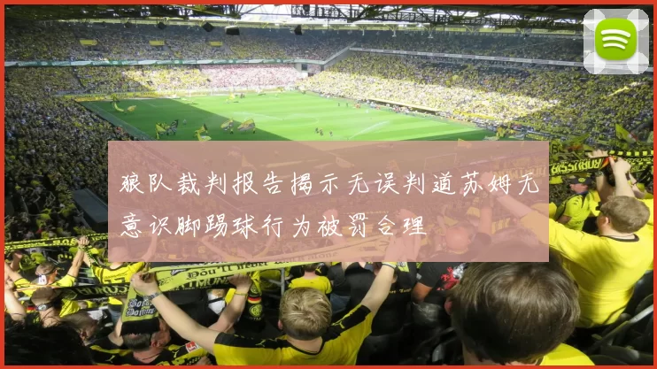 狼队裁判报告揭示无误判道苏姆无意识脚踢球行为被罚合理
