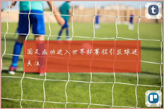 国足成功进入世界杯赛程引发球迷关注