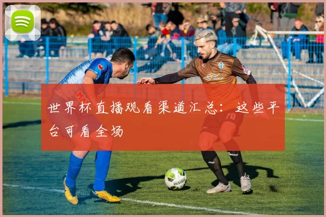 世界杯直播观看渠道汇总：这些平台可看全场