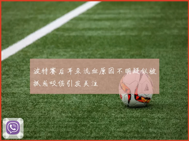 波特赛后耳朵流血原因不明疑似被抓或咬伤引发关注