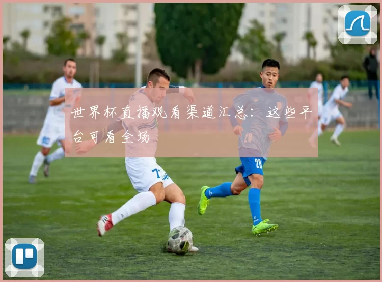 世界杯直播观看渠道汇总：这些平台可看全场