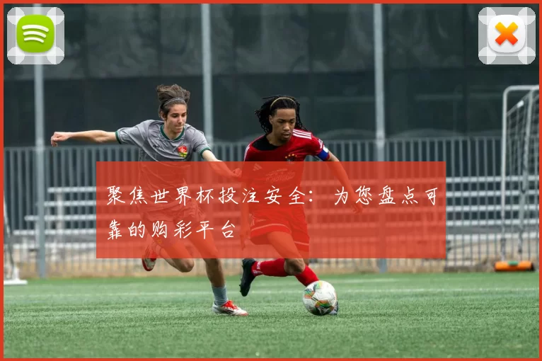 聚焦世界杯投注安全:为您盘点可靠的购彩平台