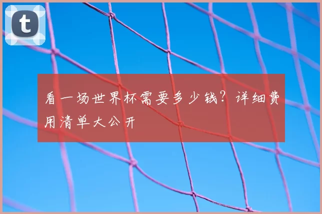 看一场世界杯需要多少钱?详细费用清单大公开