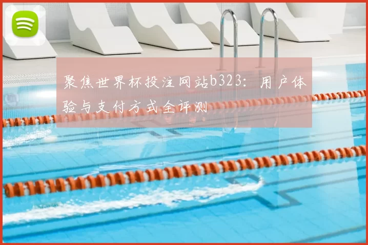聚焦世界杯投注网站b323：用户体验与支付方式全评测