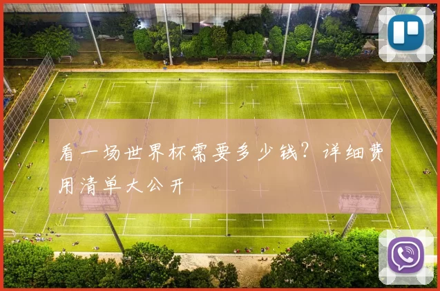 看一场世界杯需要多少钱？详细费用清单大公开