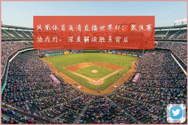 凤凰体育高清直播世界杯：聚焦赛场内外，深度解读胜负背后