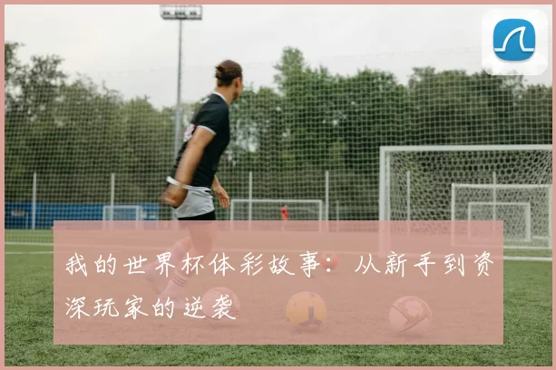 我的世界杯体彩故事：从新手到资深玩家的逆袭